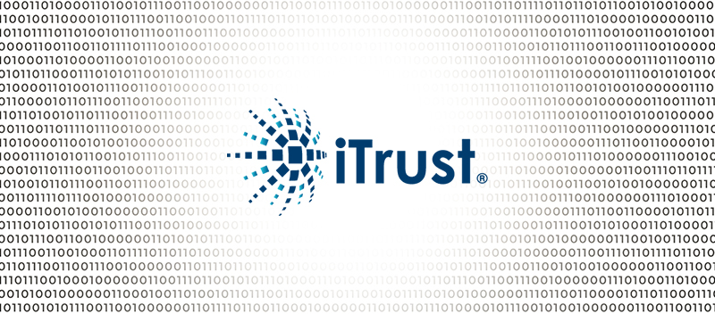 Evaluating Cyber Risks: How iTrust Paves the Way for Secure Business
