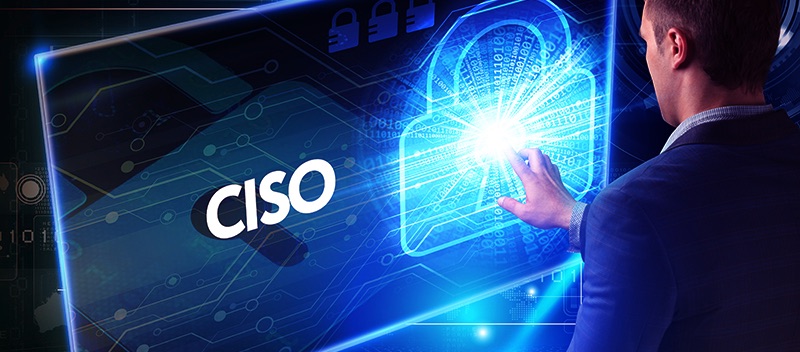 Virtual CISO, vciso