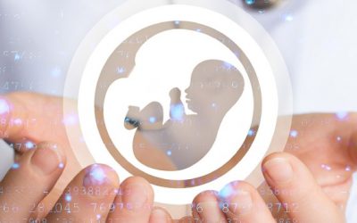 Data Leak in Fertility Clinic: Reasons & Consequences