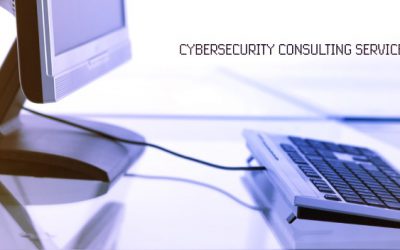 Cybersecurity Consulting Services